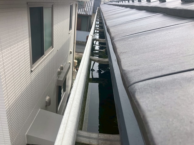 岐阜市で雨樋から漏水、集積器の苔を清掃して詰まりを解消しました